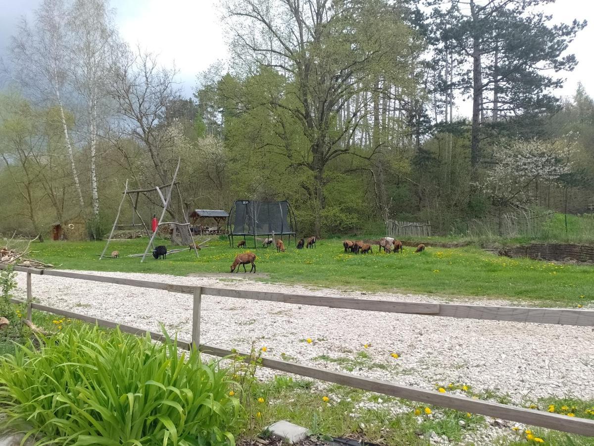 Penzion Litohlavy 17 - Na Samote U Lesa Králŭv Dvŭr Exterior foto